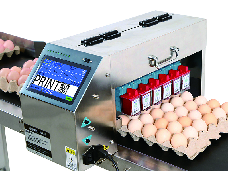 Automatic Egg Date Coding Printing Machine Stamping Expiry Code On Egg Inkjet Printer