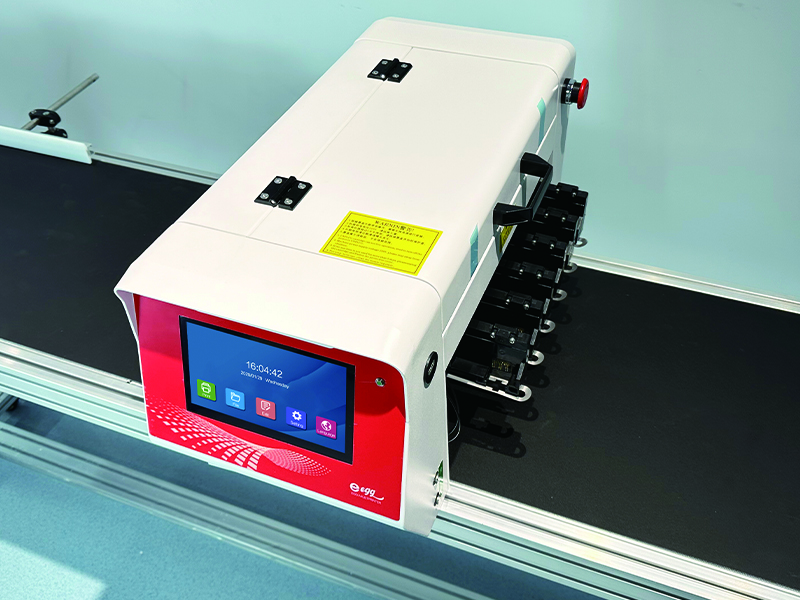 Automatic Egg Date Coding Printing Machine Stamping Expiry Code On Egg Inkjet Printer