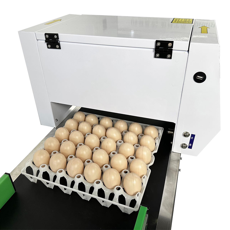 Automatic Egg Date Coding Printing Machine Stamping Expiry Code On Egg Inkjet Printer