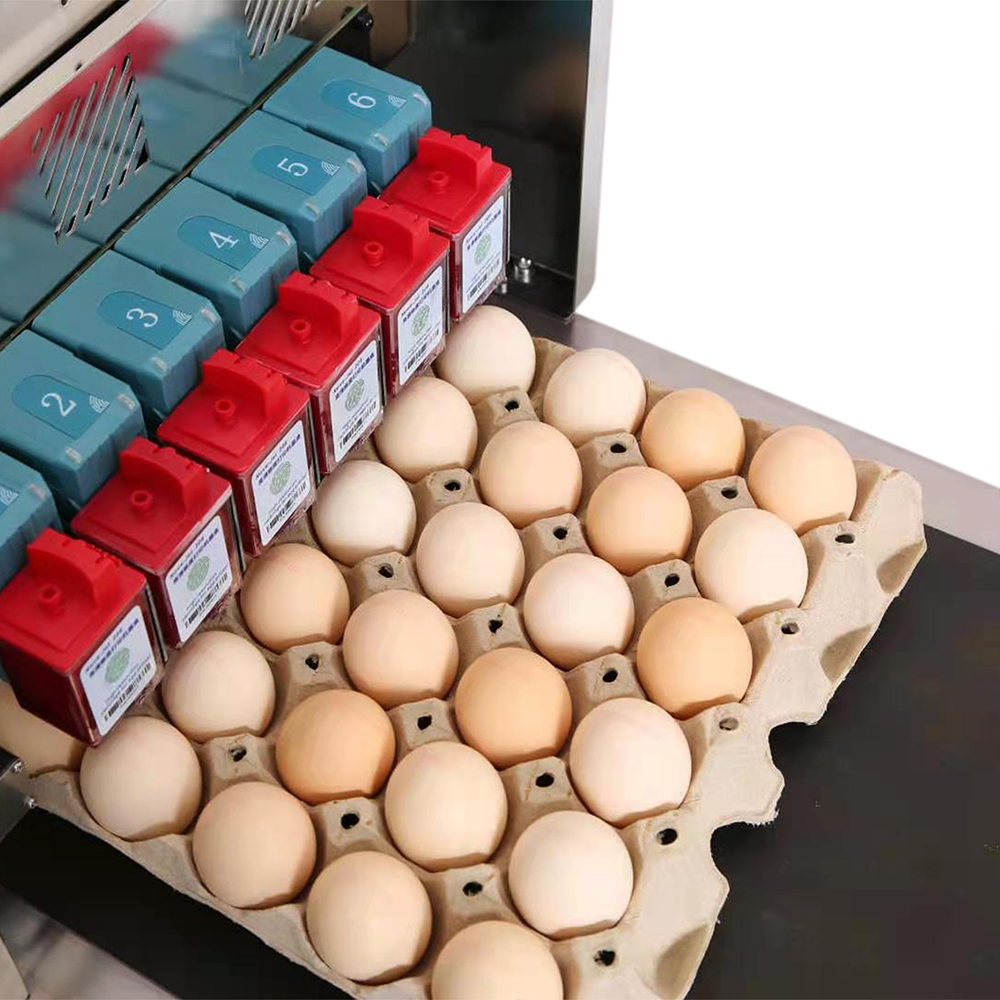 Egg Printer