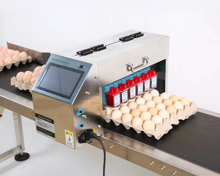 Egg Printer