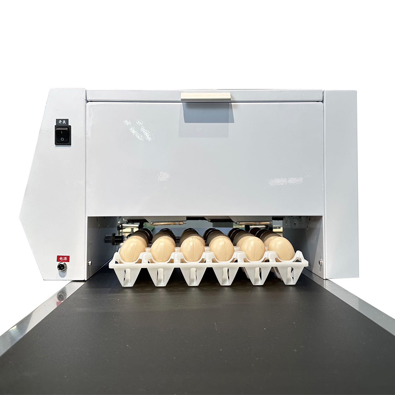 High Speed Eggs Expiry Date Printing Printer Machine
